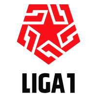 Primera División logo