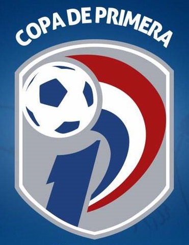 Paraguayan Primera División logo