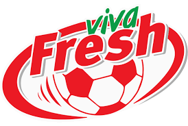 First Football League of Kosovo logo