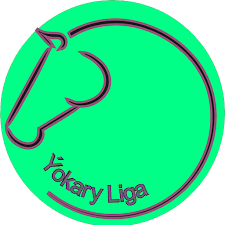 Ýokary Liga logo